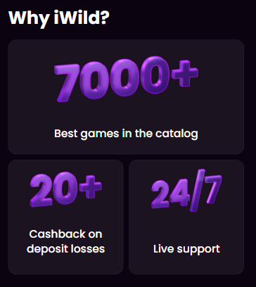 iWild Casino official website